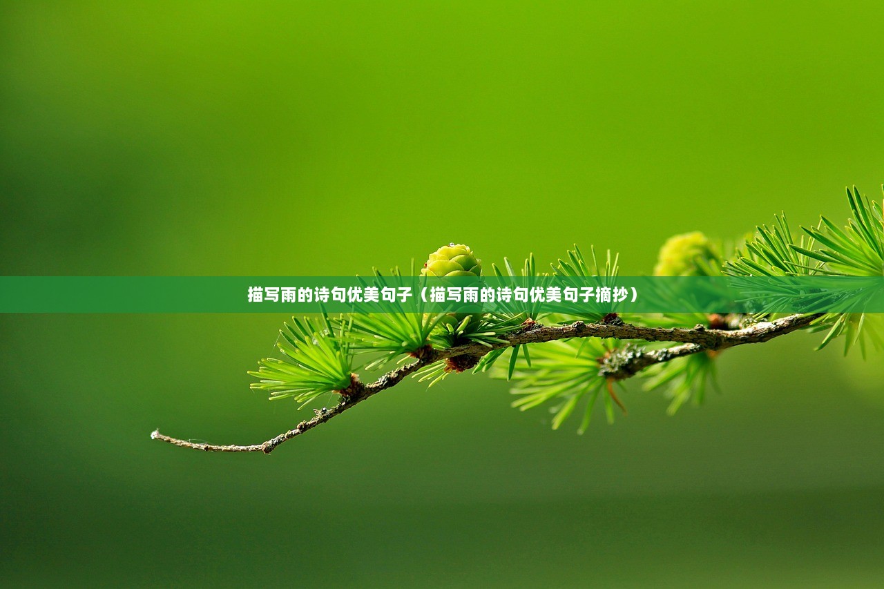 描写雨的诗句优美句子（描写雨的诗句优美句子摘抄）