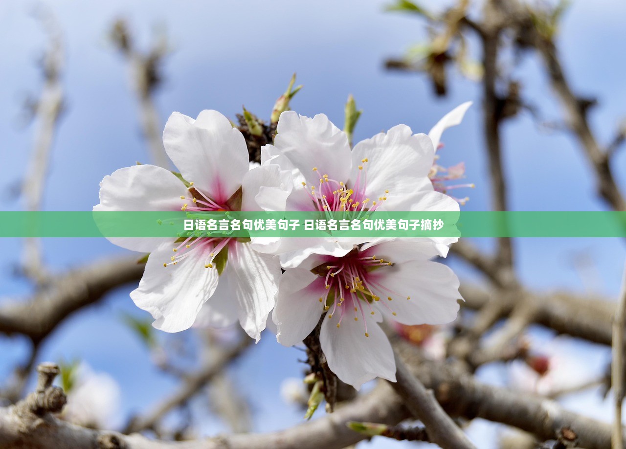 日语名言名句优美句子 日语名言名句优美句子摘抄