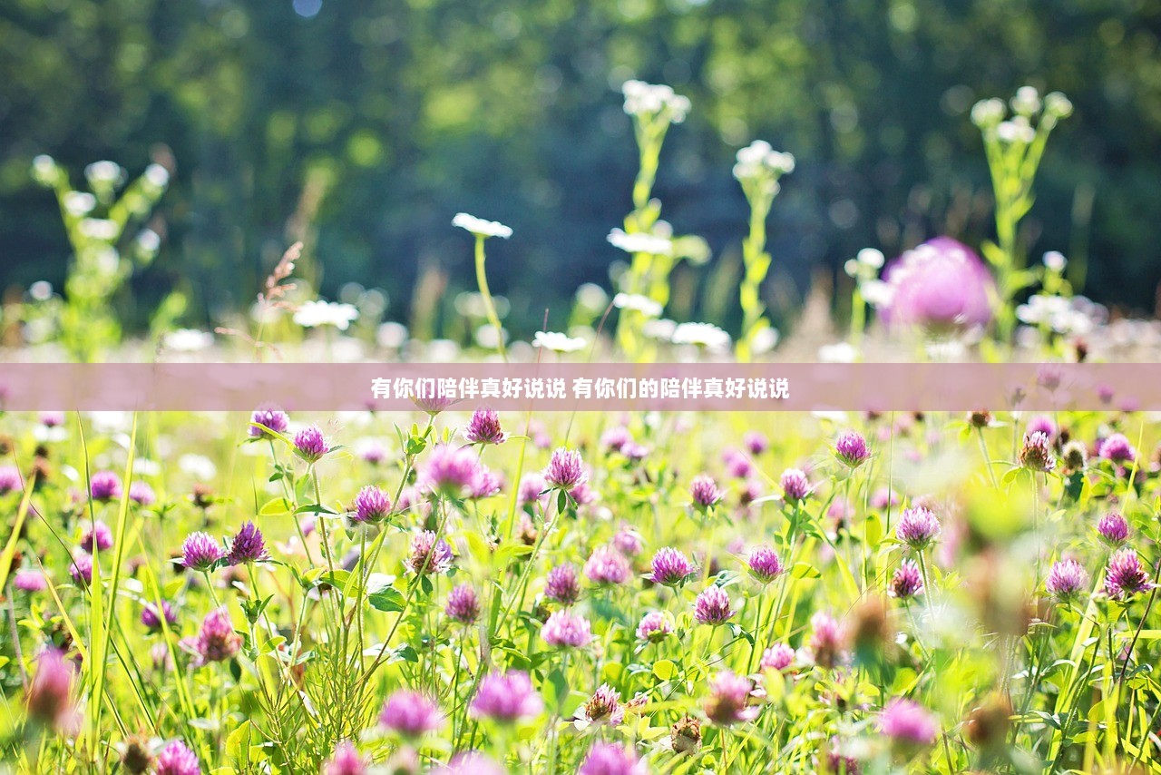 有你们陪伴真好说说 有你们的陪伴真好说说