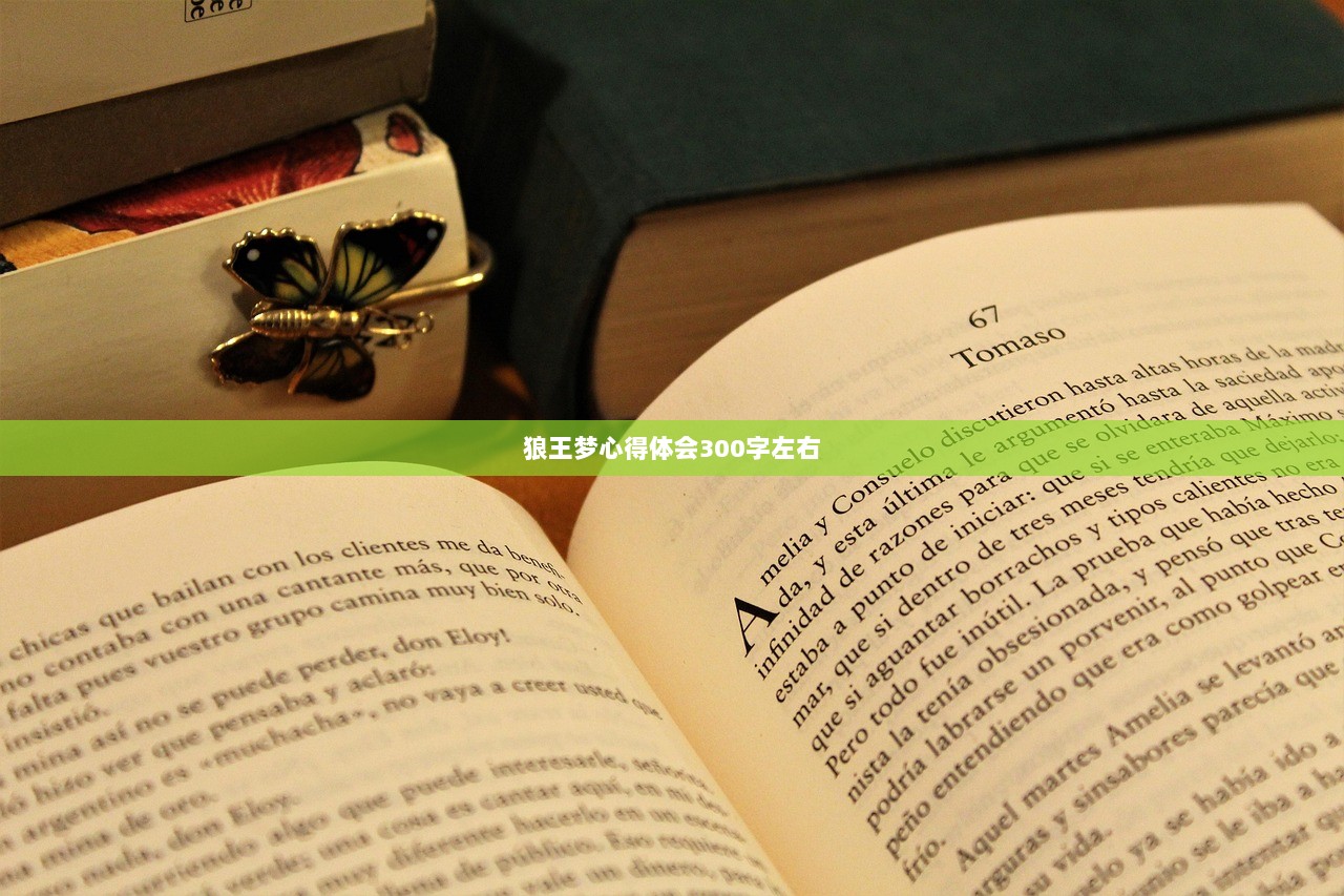 狼王梦心得体会300字左右