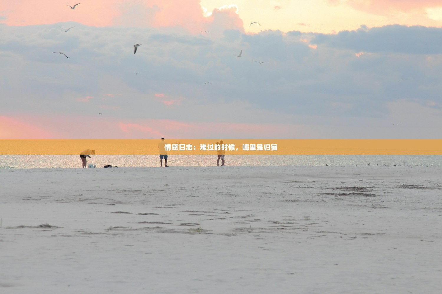 情感日志：难过的时候，哪里是归宿