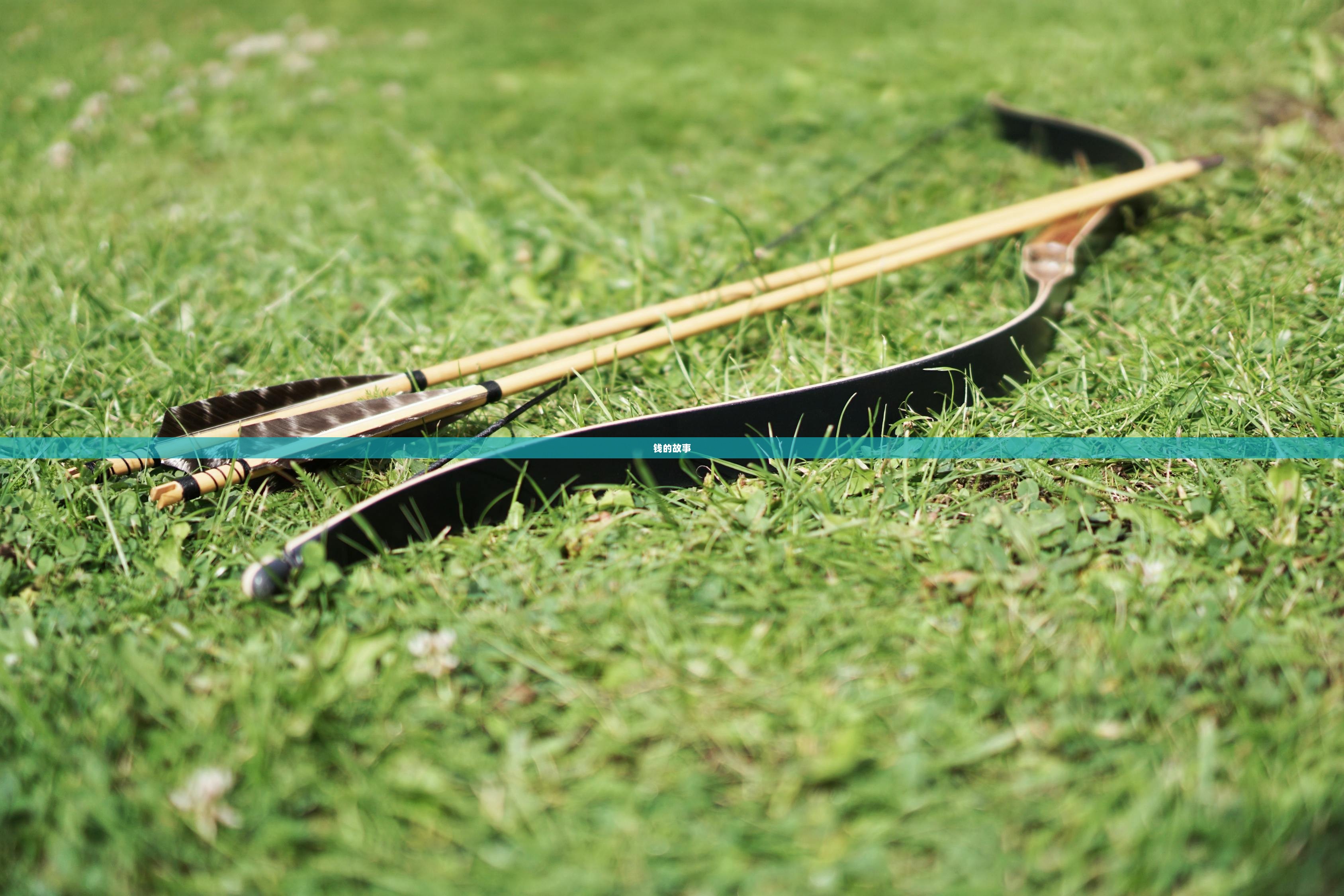 钱的故事  第1张