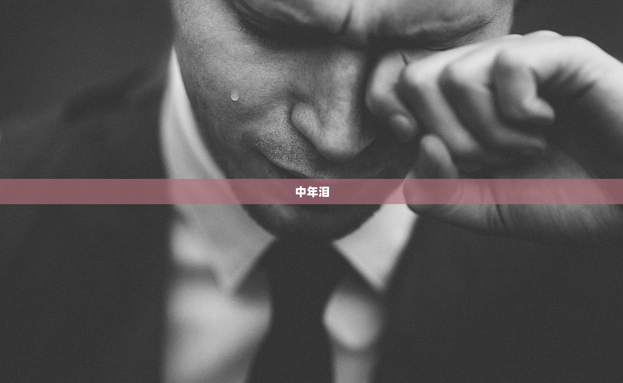 中年泪  第1张