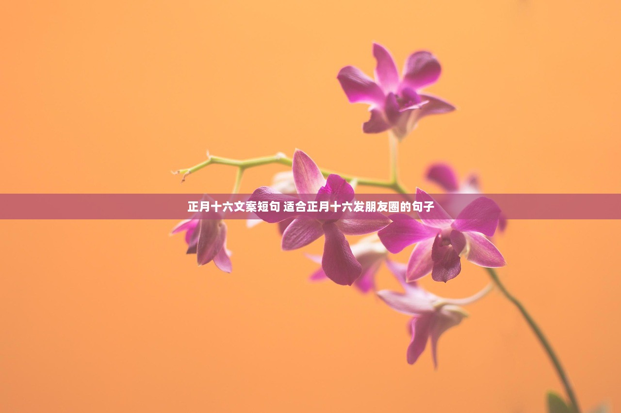 正月十六文案短句 适合正月十六发朋友圈的句子
