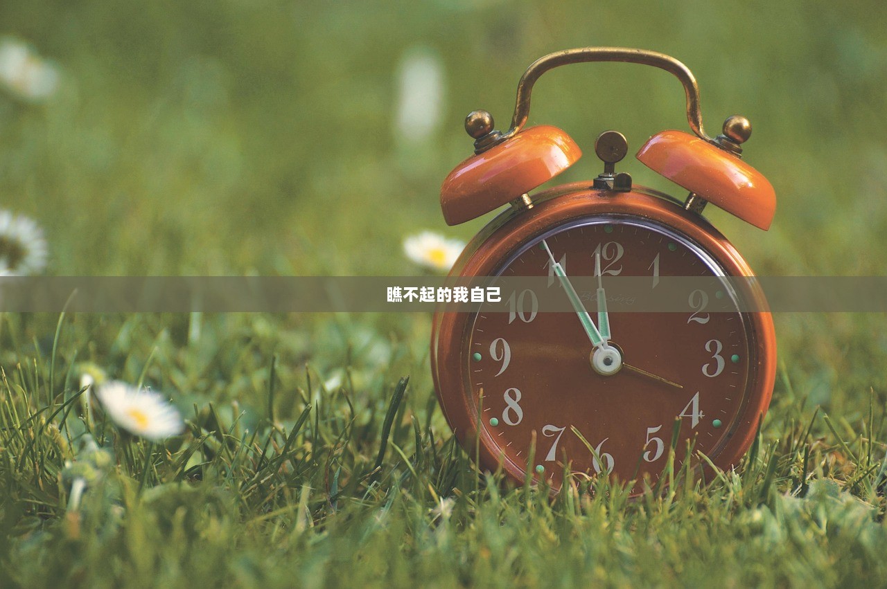 瞧不起的我自己