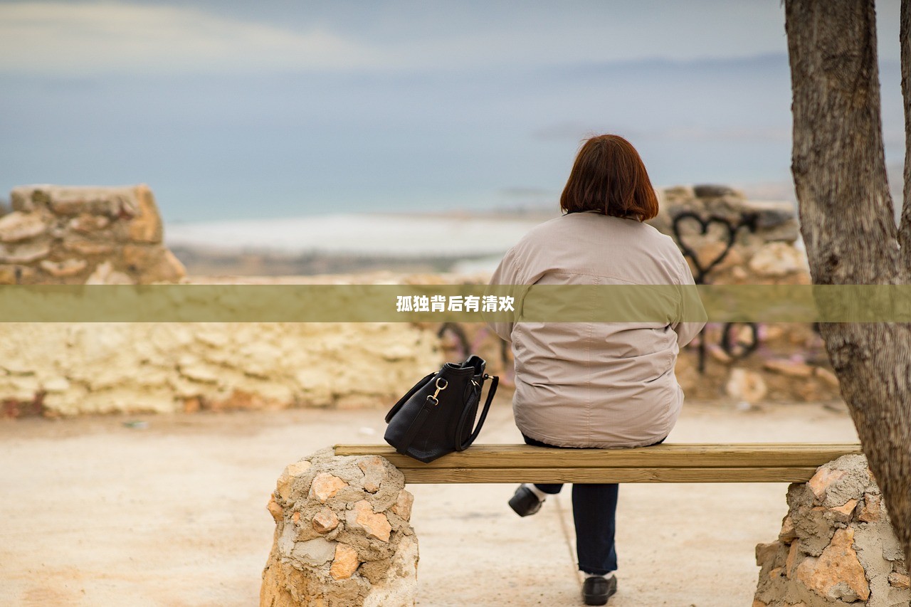 孤独背后有清欢  第1张