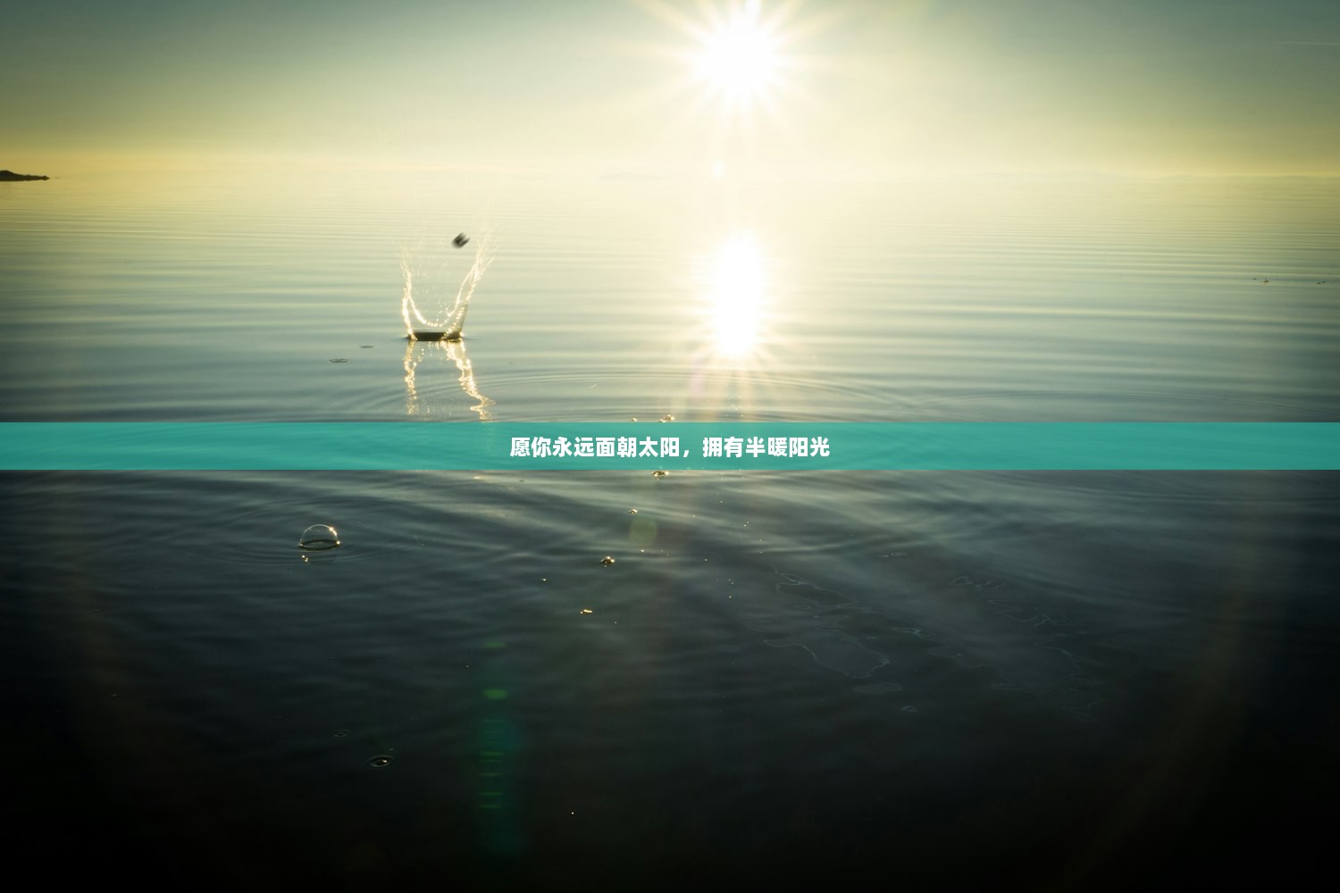 愿你永远面朝太阳，拥有半暖阳光  第1张