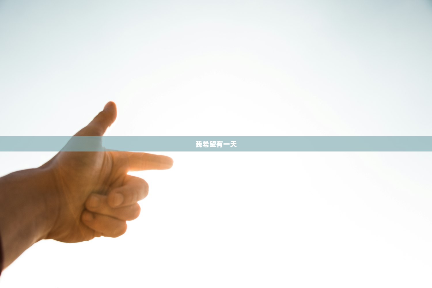 我希望有一天  第1张