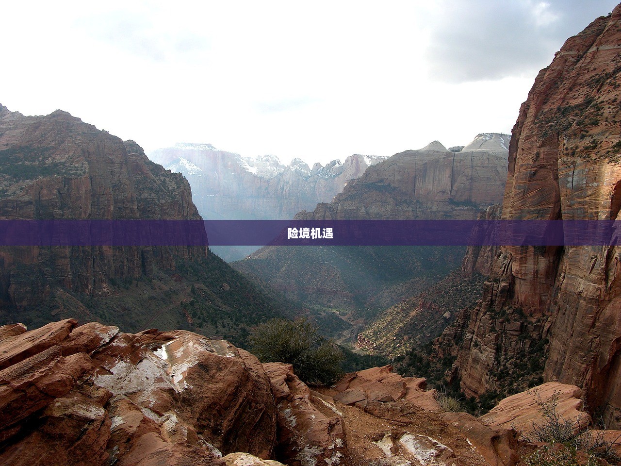 险境机遇