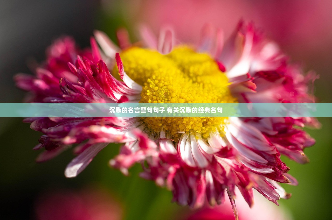 沉默的名言警句句子 有关沉默的经典名句