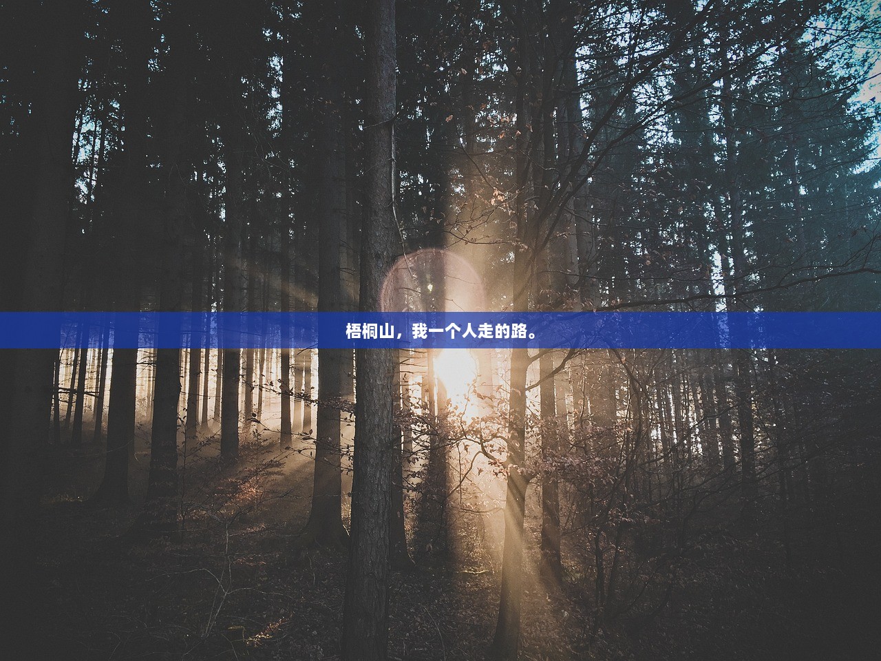 梧桐山，我一个人走的路。