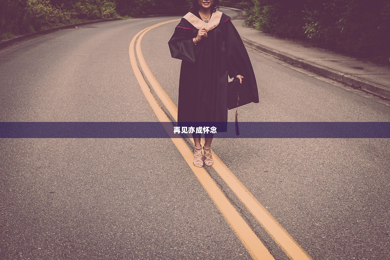 再见亦成怀念