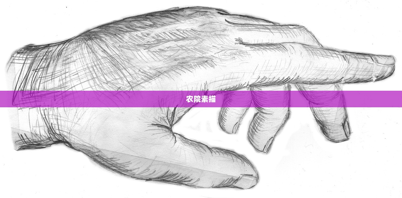 农院素描