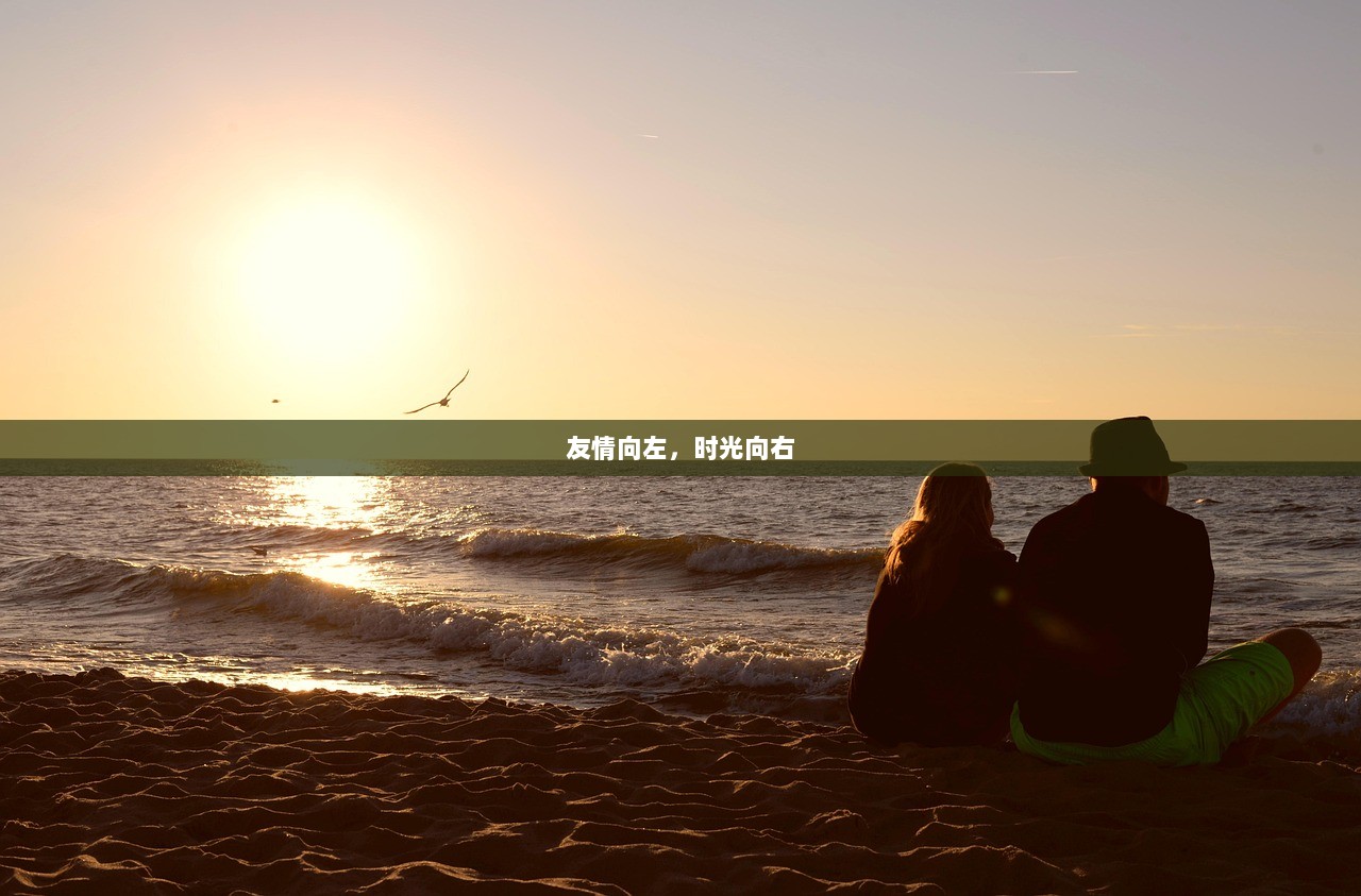 友情向左，时光向右  第1张