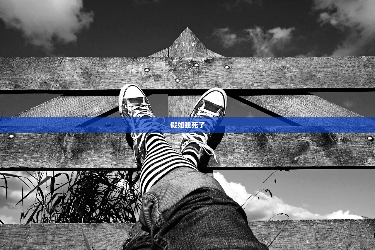 假如我死了  第1张