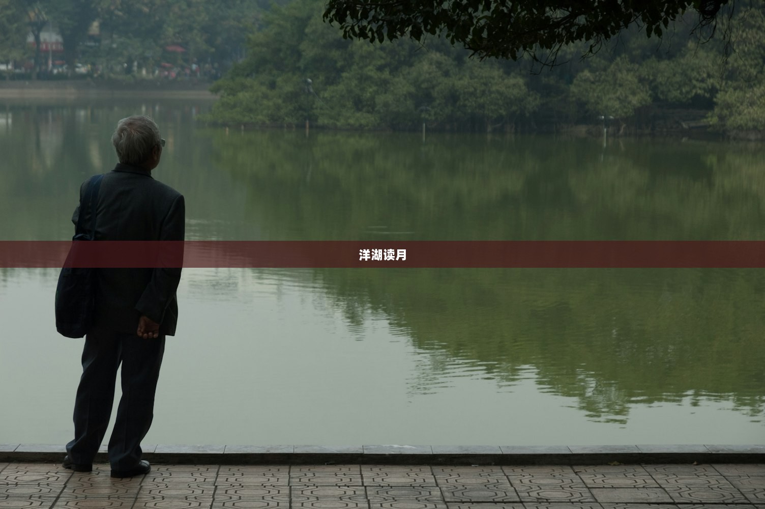 洋湖读月