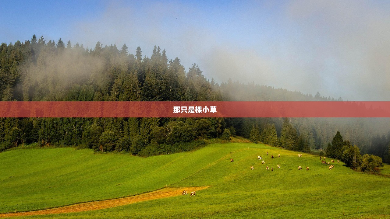 那只是棵小草