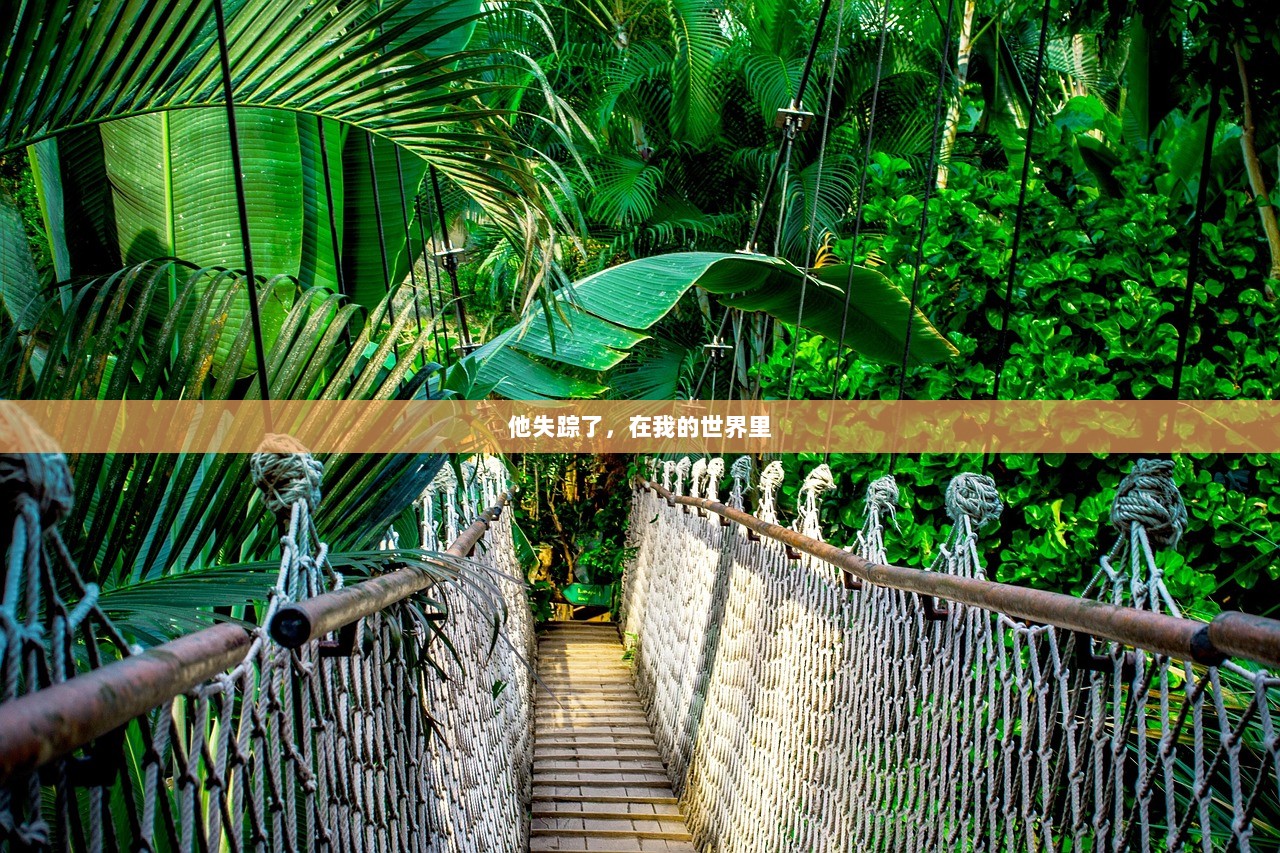 他失踪了，在我的世界里