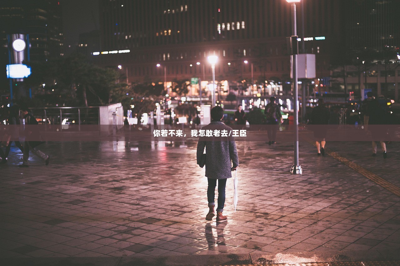 你若不来，我怎敢老去/王臣