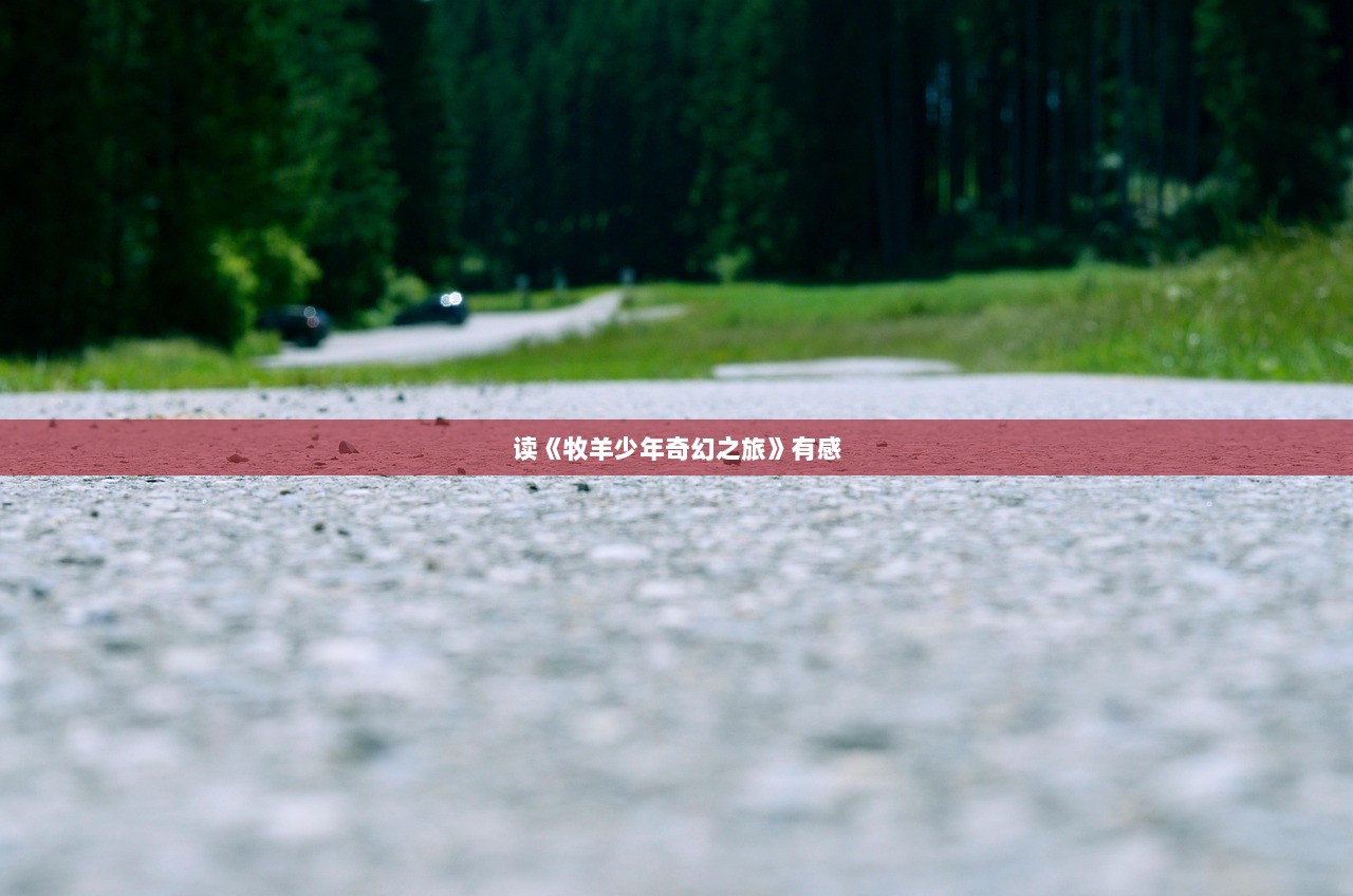 读《牧羊少年奇幻之旅》有感