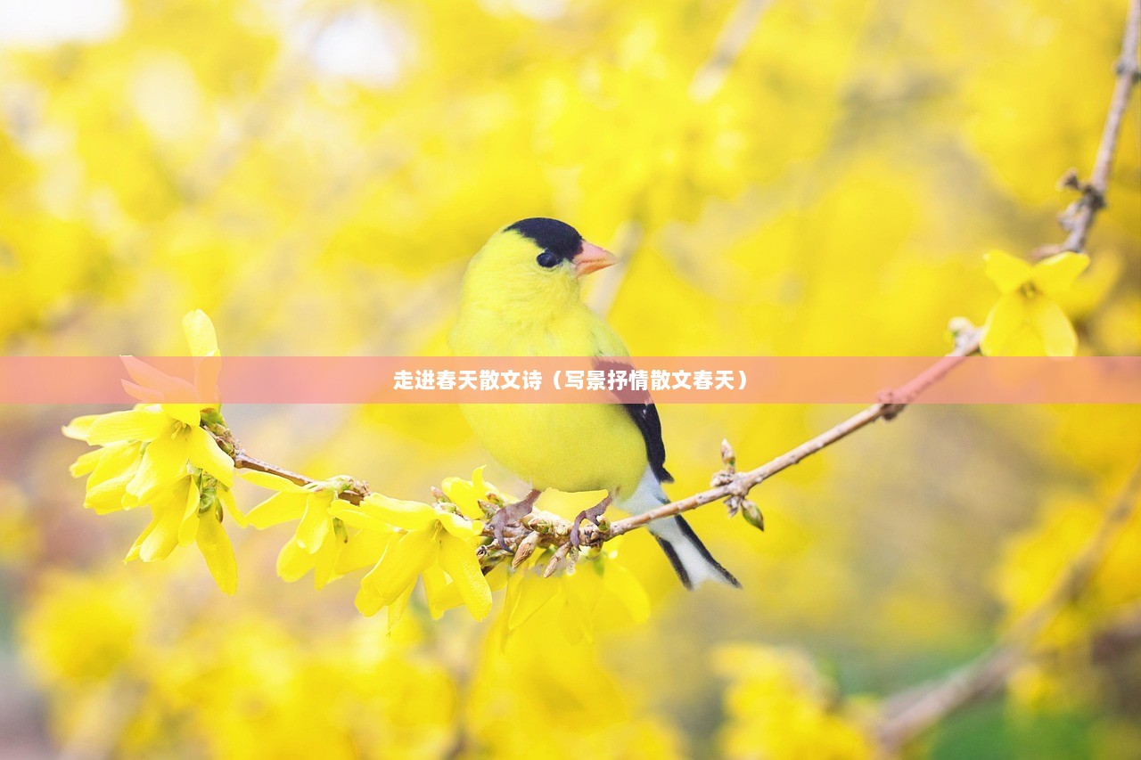 走进春天散文诗（写景抒情散文春天）