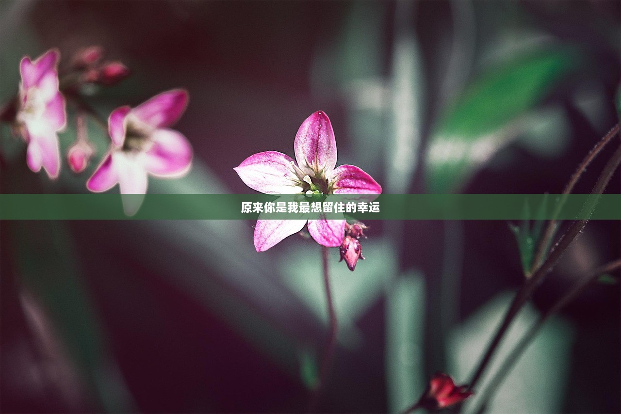 原来你是我最想留住的幸运