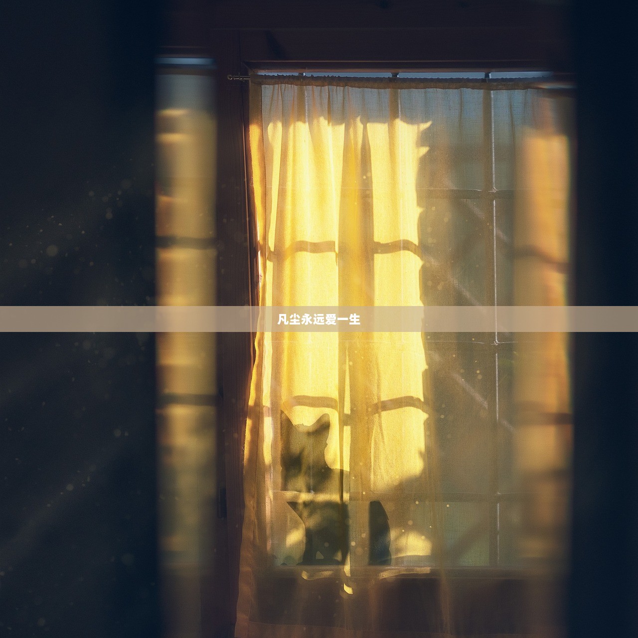 凡尘永远爱一生