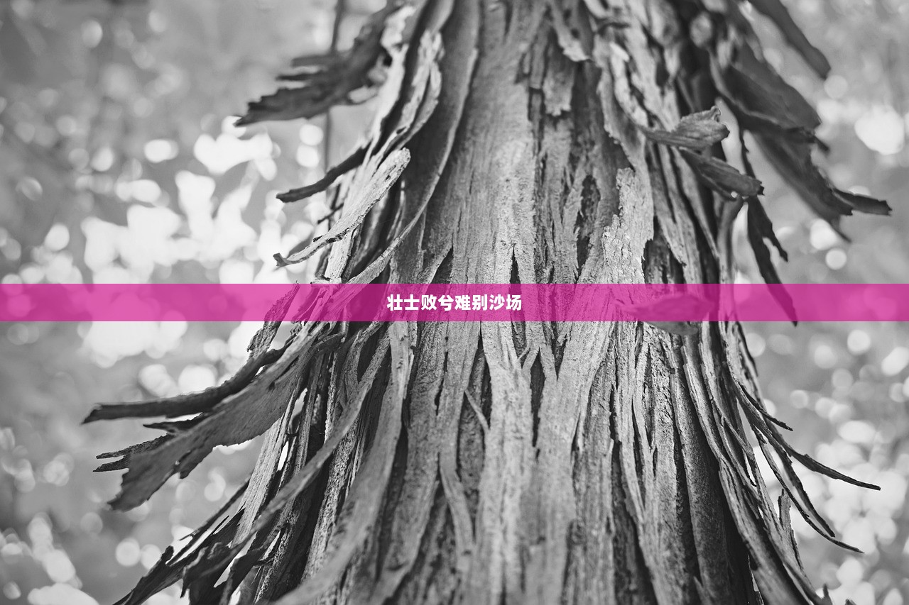 壮士败兮难别沙场