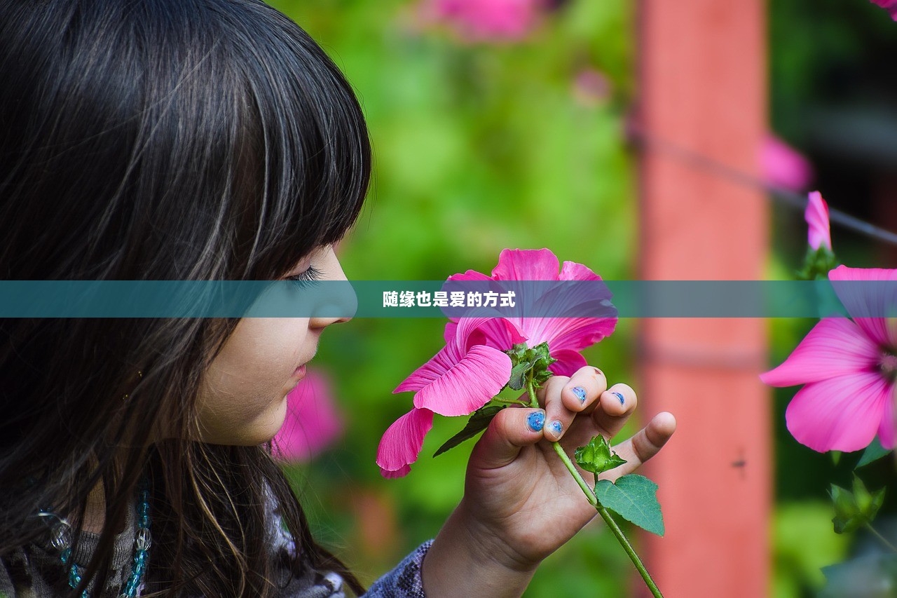 随缘也是爱的方式