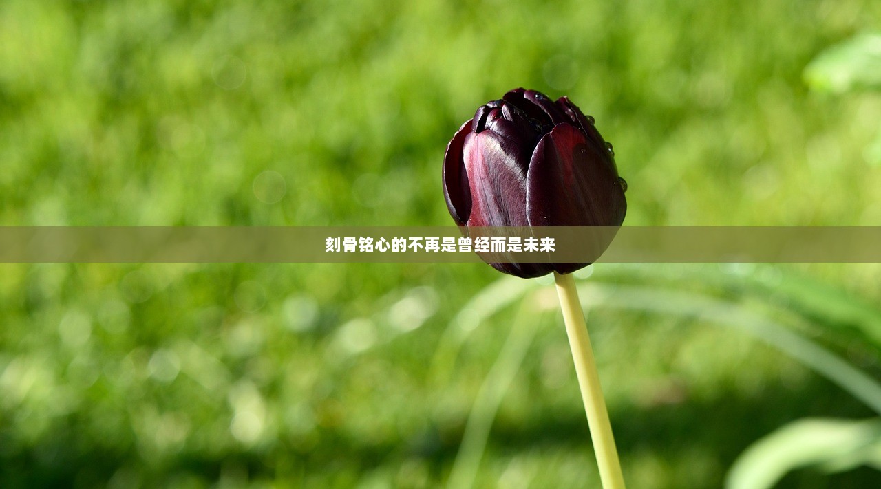 刻骨铭心的不再是曾经而是未来