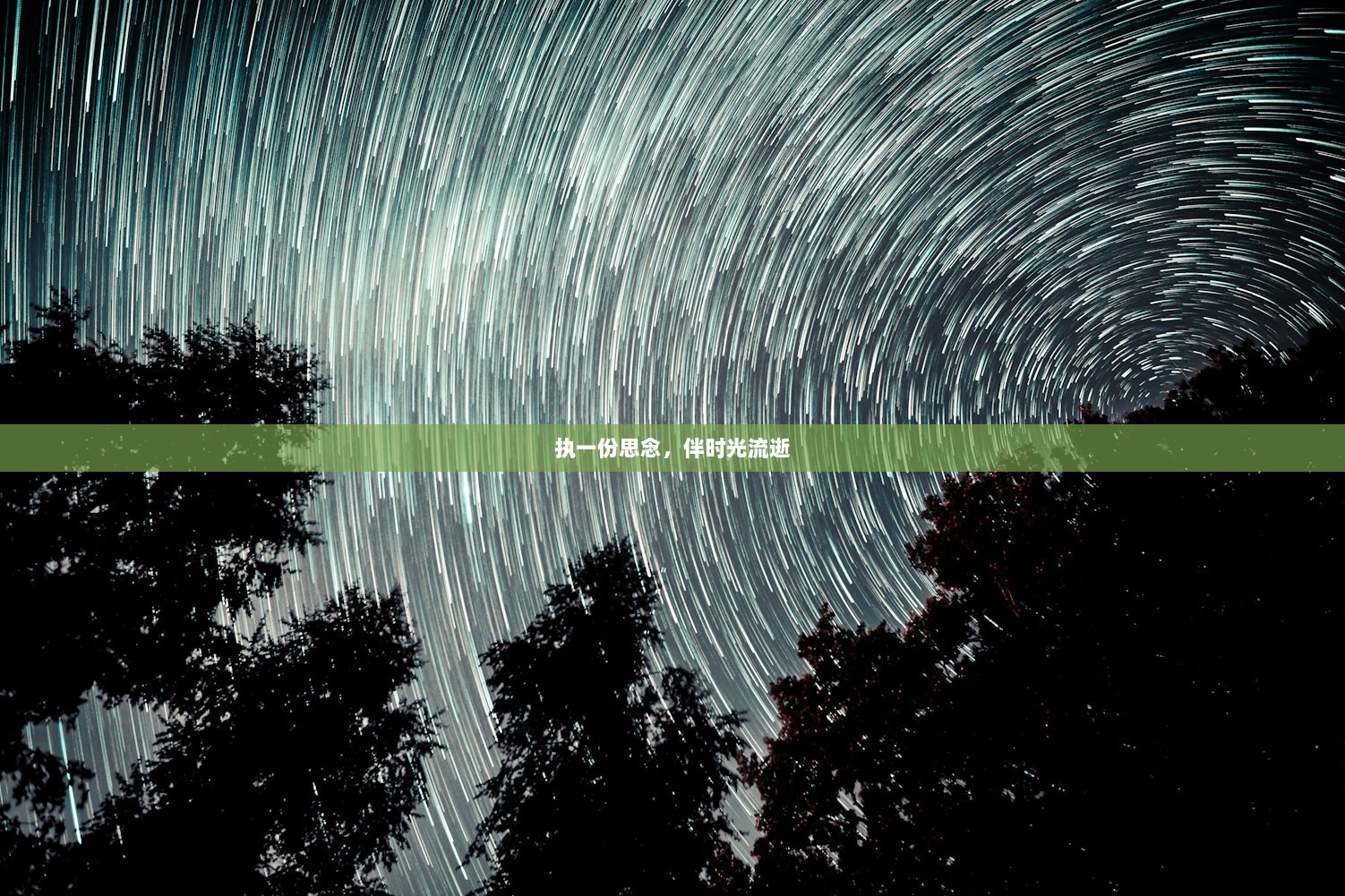 执一份思念，伴时光流逝  第1张