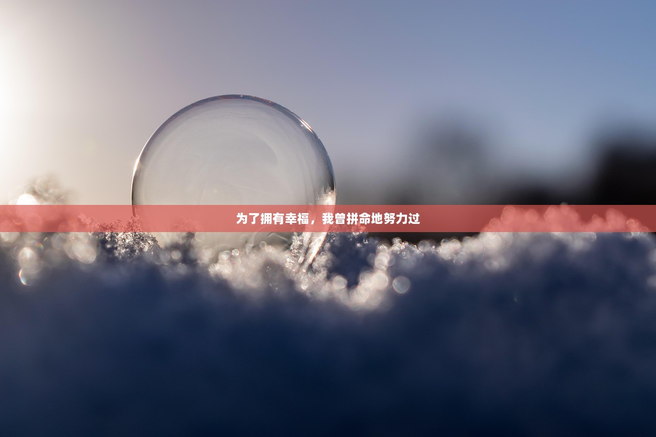 为了拥有幸福，我曾拼命地努力过  第1张