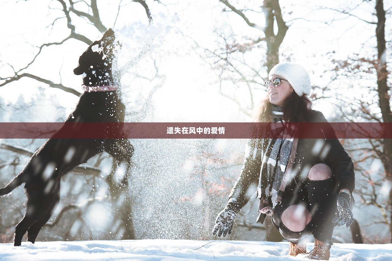 遗失在风中的爱情