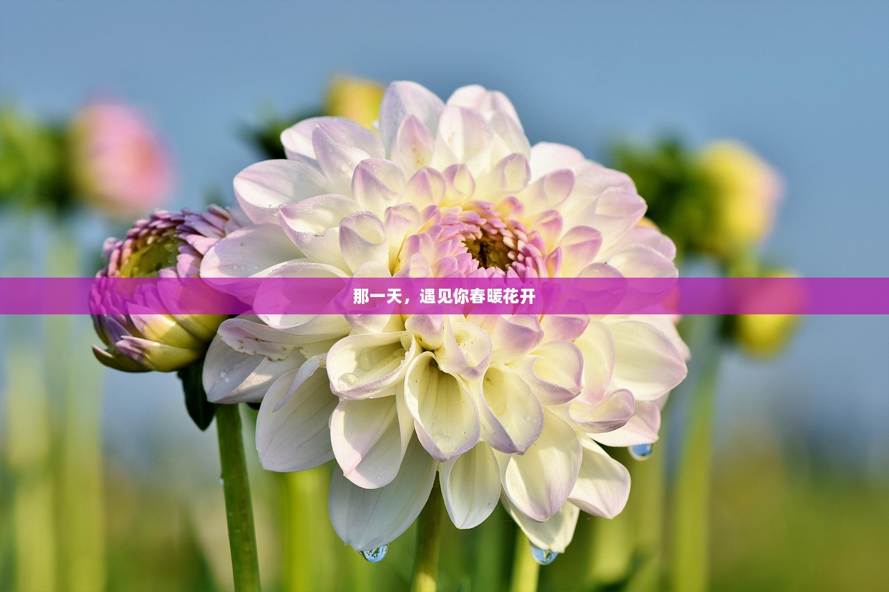 那一天，遇见你春暖花开