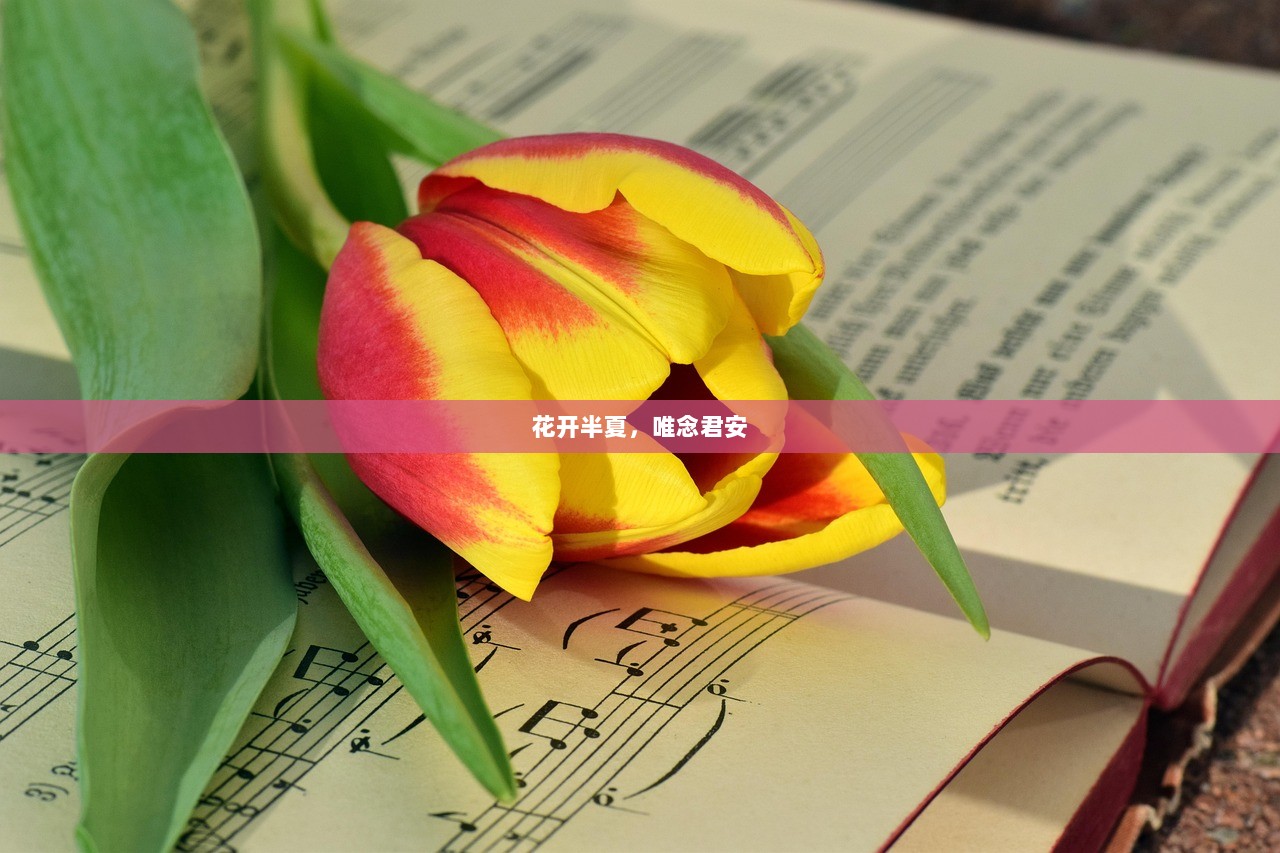 花开半夏，唯念君安