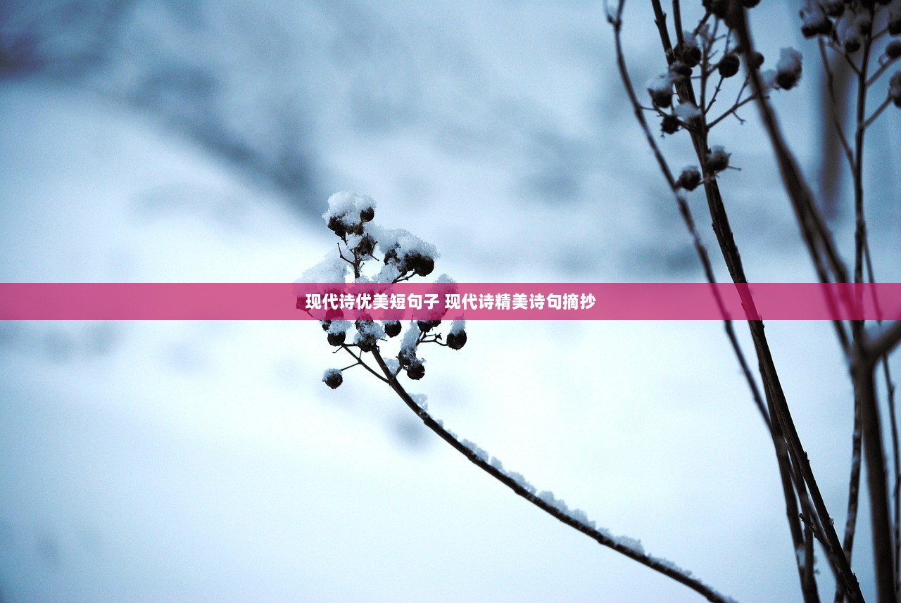 现代诗优美短句子 现代诗精美诗句摘抄