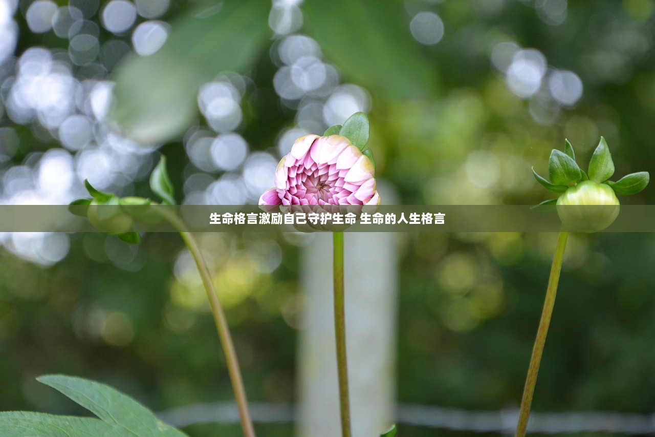 生命格言激励自己守护生命 生命的人生格言