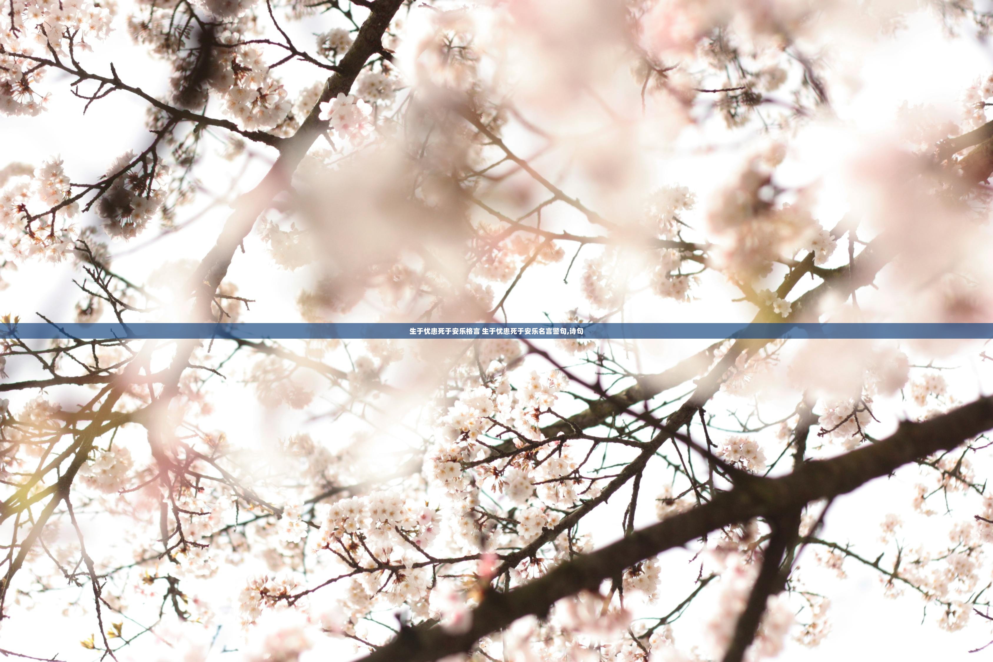 生于忧患死于安乐格言 生于忧患死于安乐名言警句,诗句  第1张