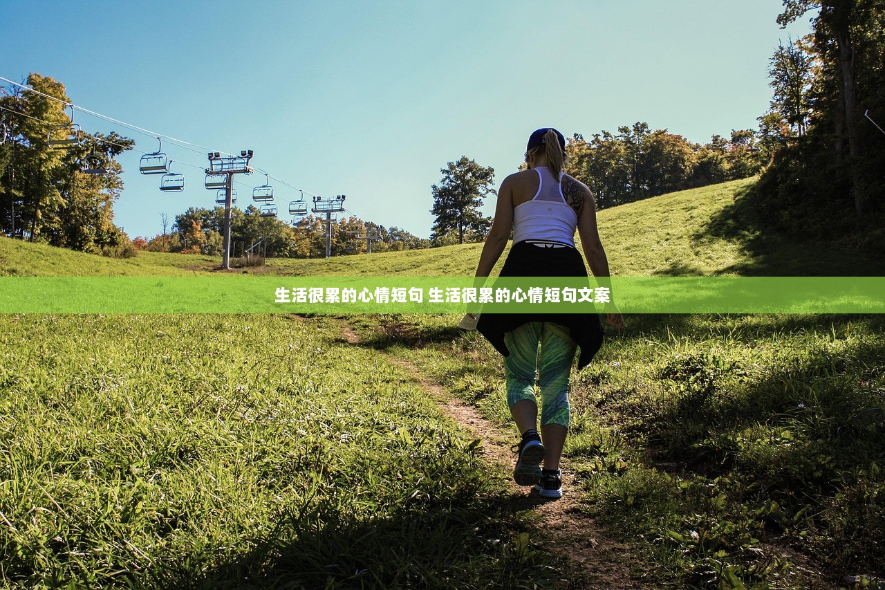 生活很累的心情短句 生活很累的心情短句文案  第1张