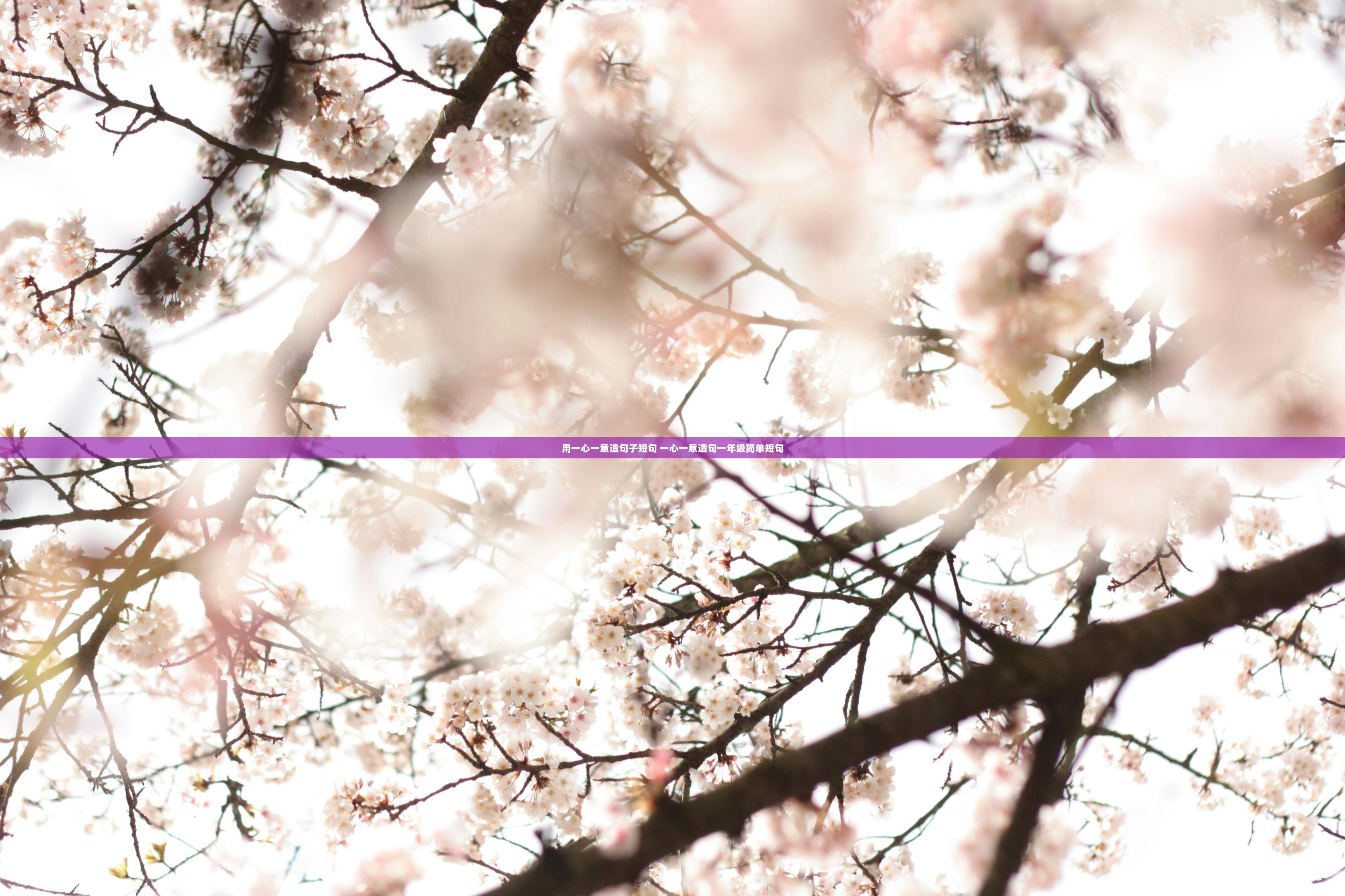 用一心一意造句子短句 一心一意造句一年级简单短句