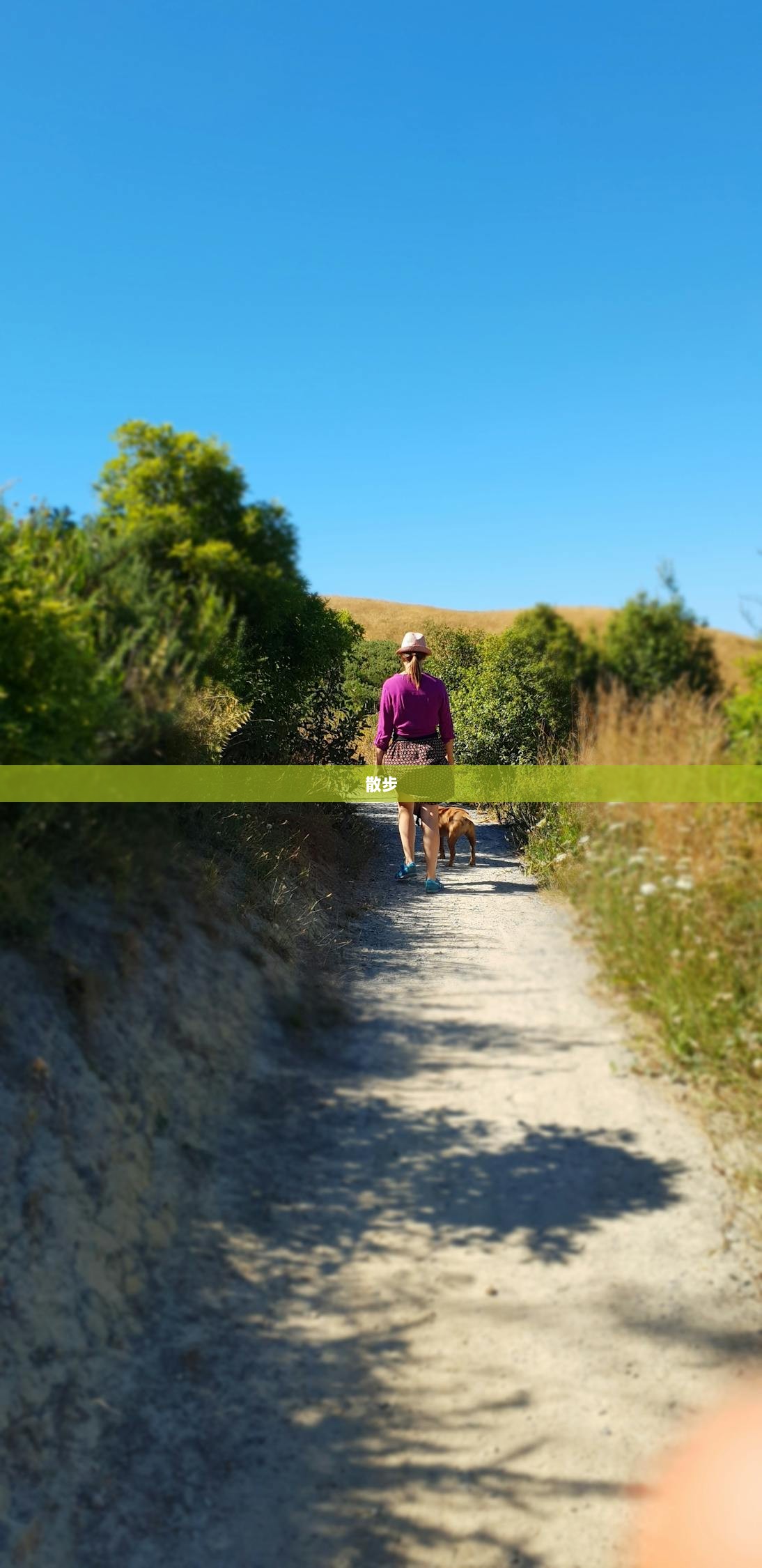 散步