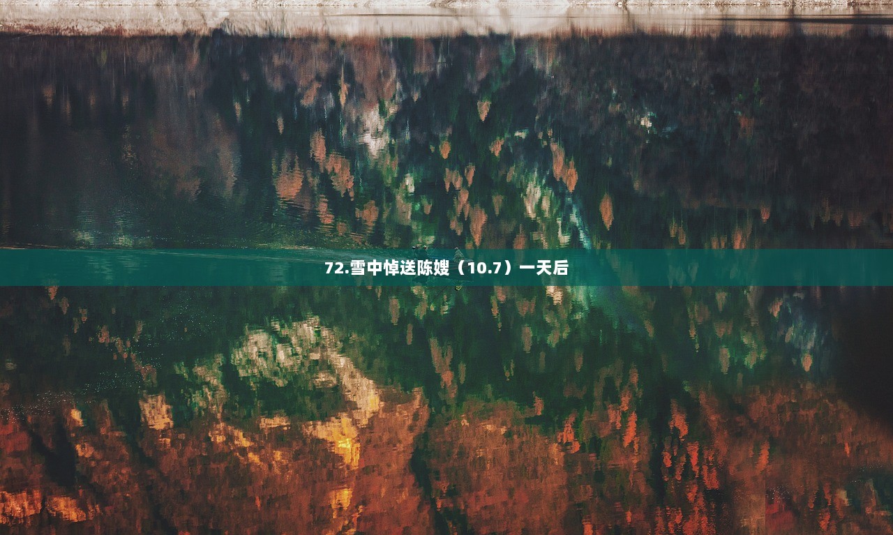 72.雪中悼送陈嫂（10.7）一天后