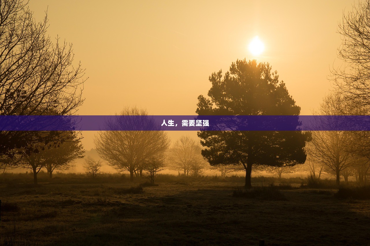 人生，需要坚强