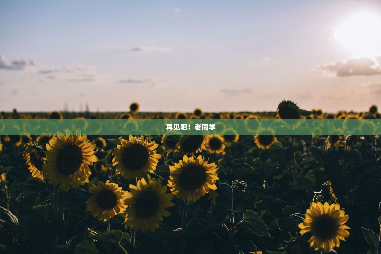 再见吧！老同学  第1张