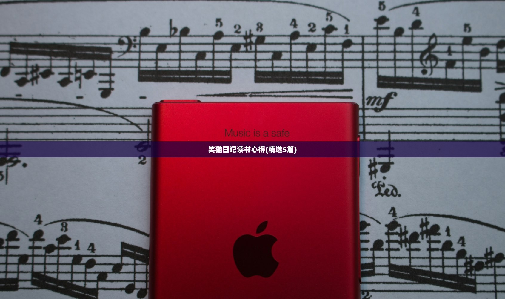 笑猫日记读书心得(精选5篇)  第1张