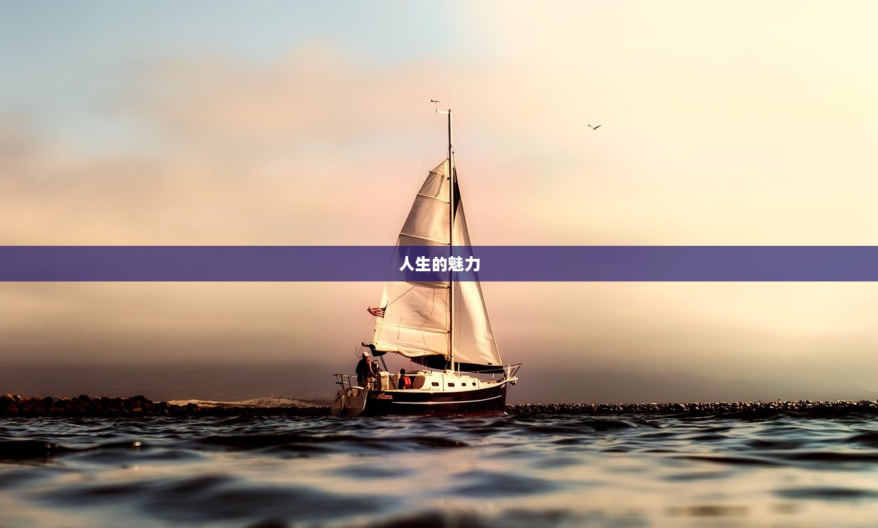 人生的魅力  第1张