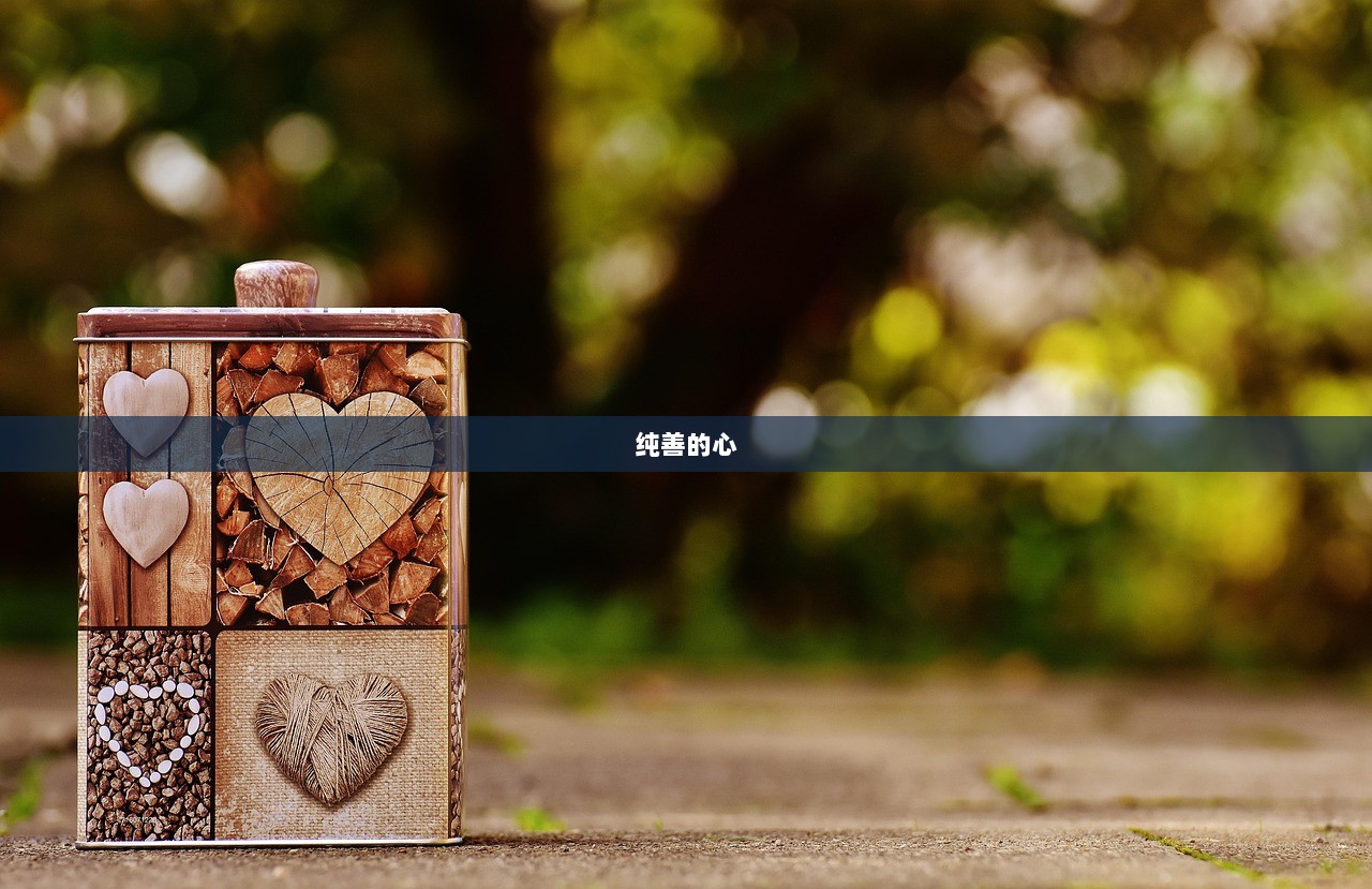 纯善的心  第1张
