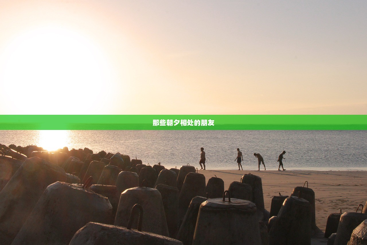 那些朝夕相处的朋友  第1张