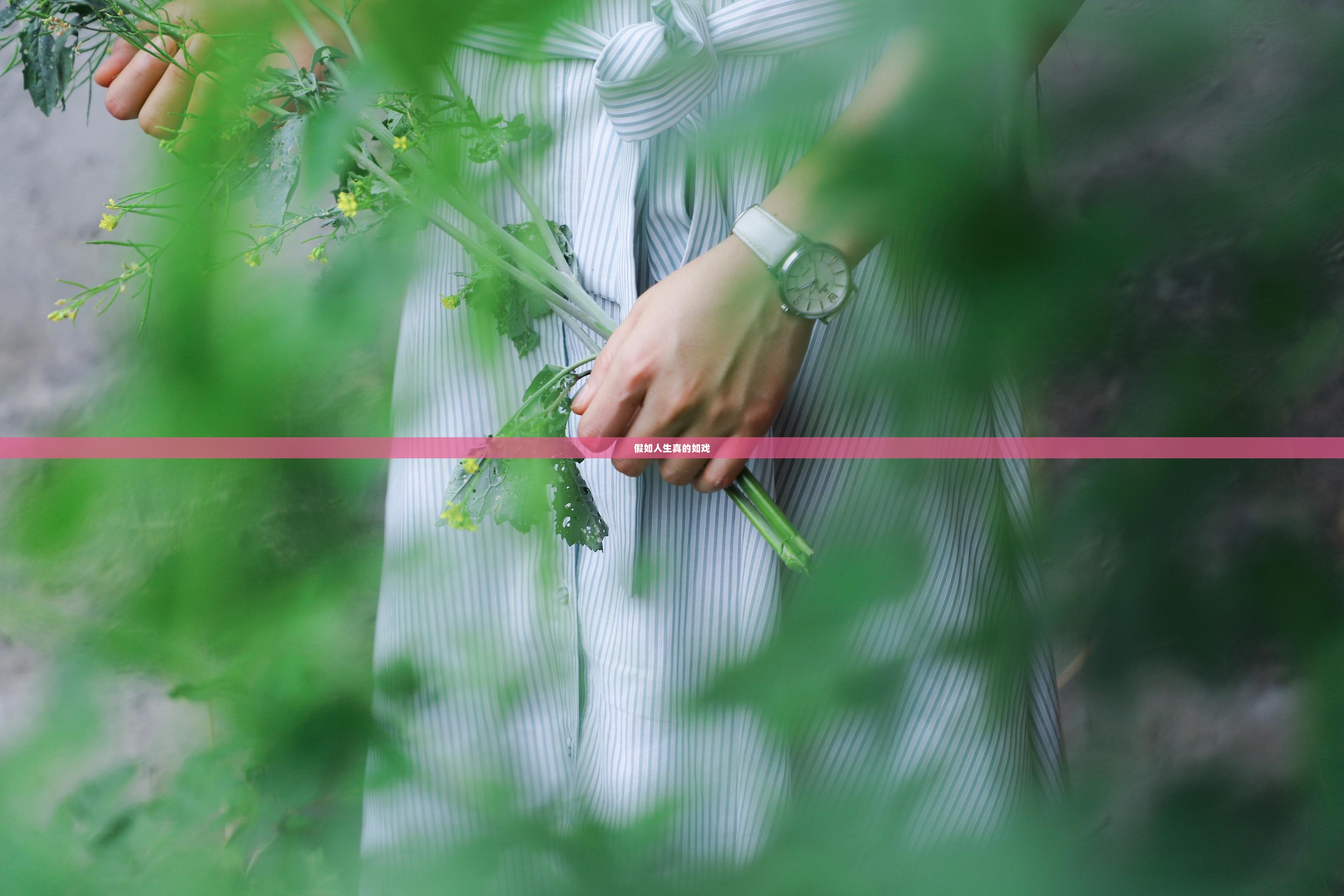 假如人生真的如戏  第1张