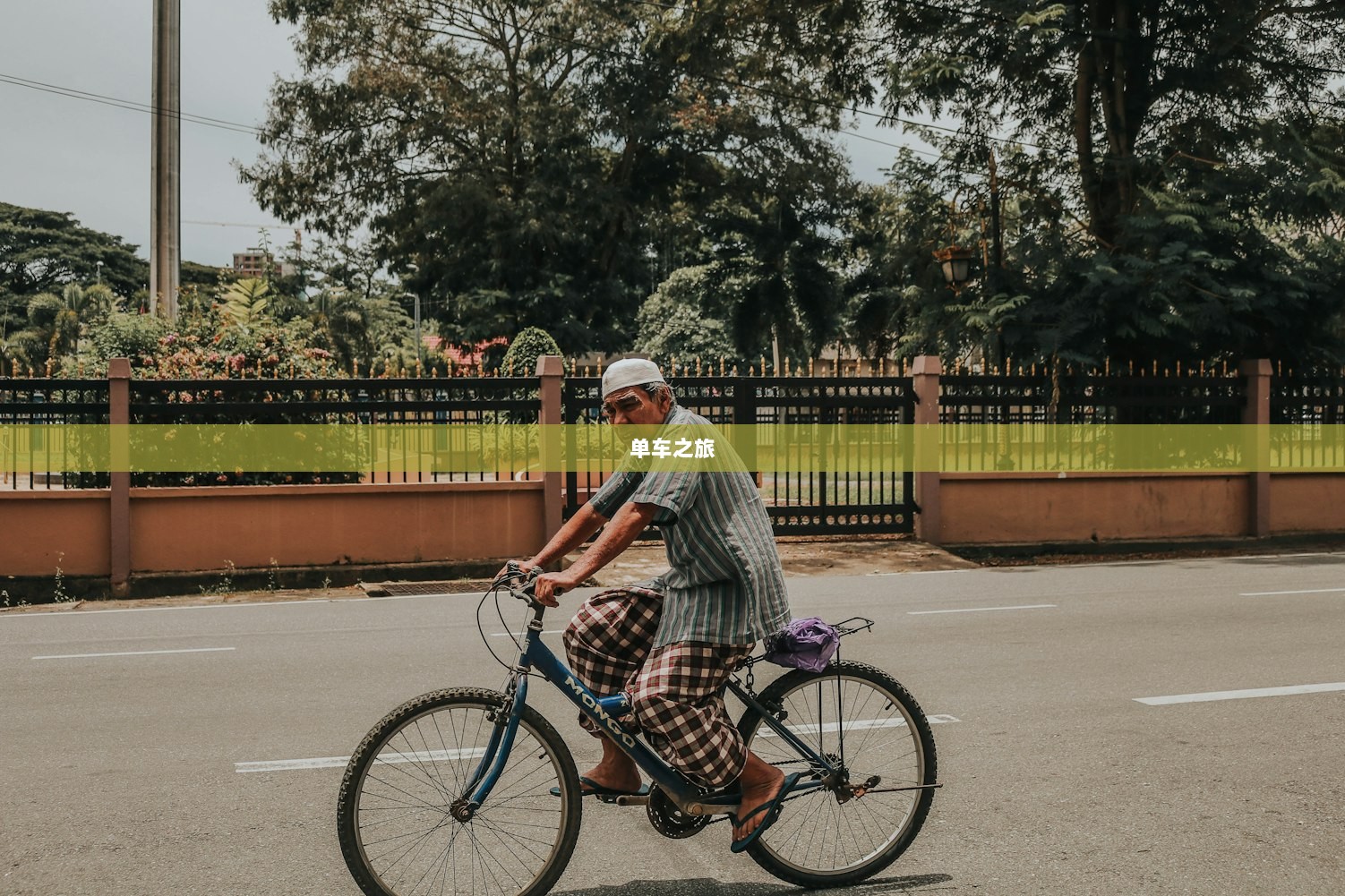 单车之旅